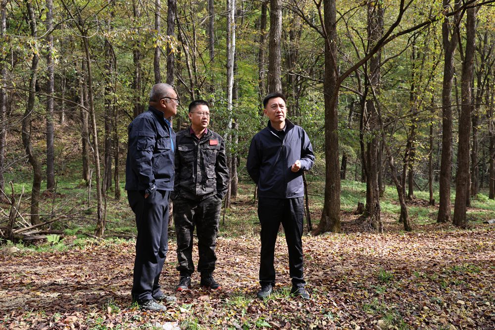 1760336518790719.jpg IP4A3629_副本.jpg