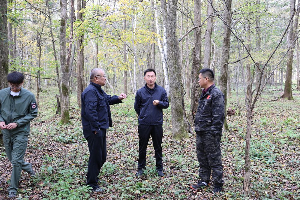 1760336674179833.jpg IP4A3634_副本.jpg